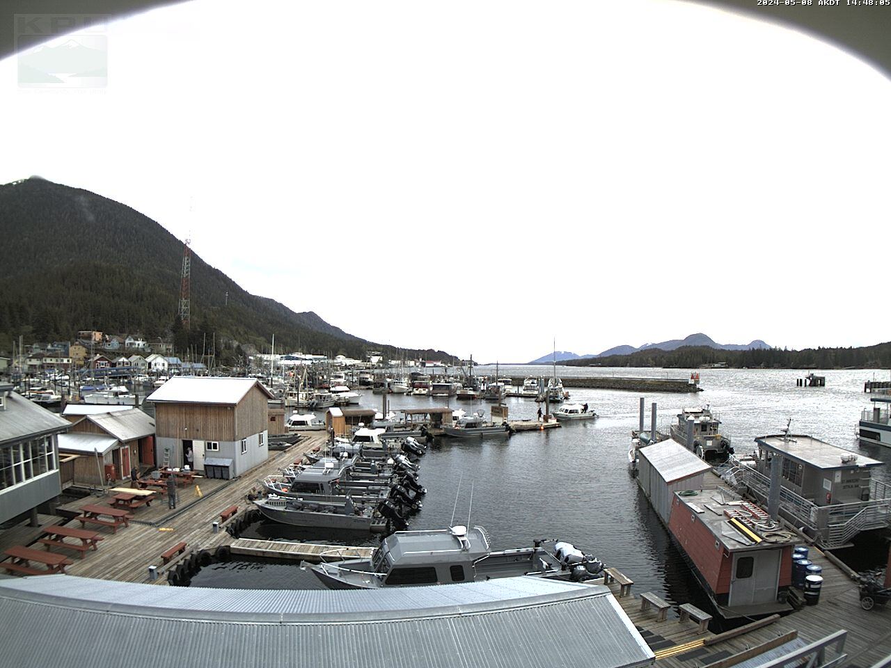 Current Ketchikan Webcam #6 Alaska-sized Image