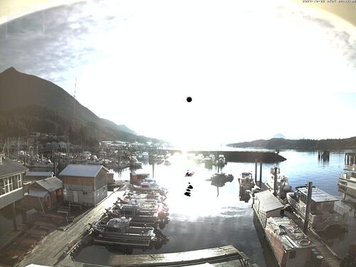 Current Ketchikan Webcam 6 photo